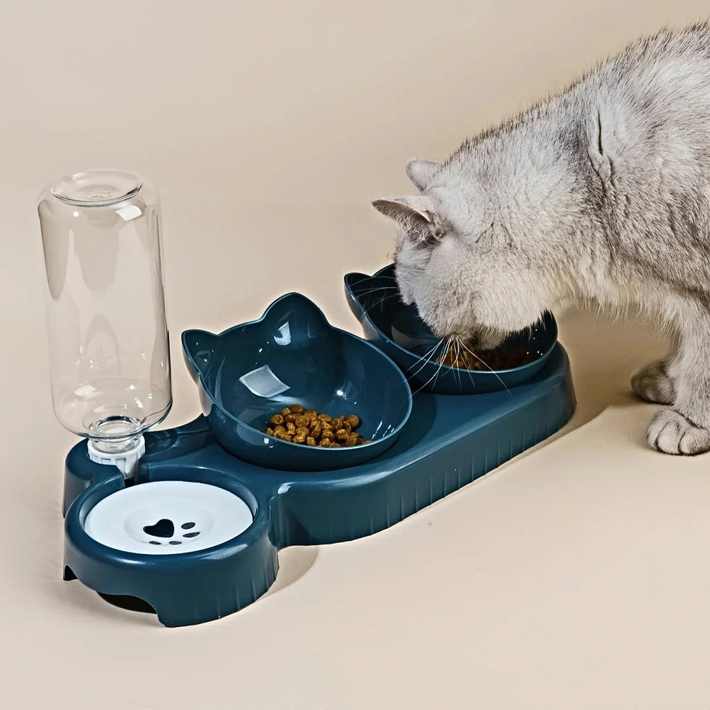 Pet Bowls With Water Feeder, 3 In 1 Ear Design Tilted Cat Water And Food Bowl Set With Gravity Water Bottle