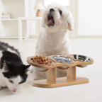 Raised Cat Feeder 3 Bowls in 1 Feeding & Watering Supplies 15° Raised Puppy 3 Stainless Steel Bowls