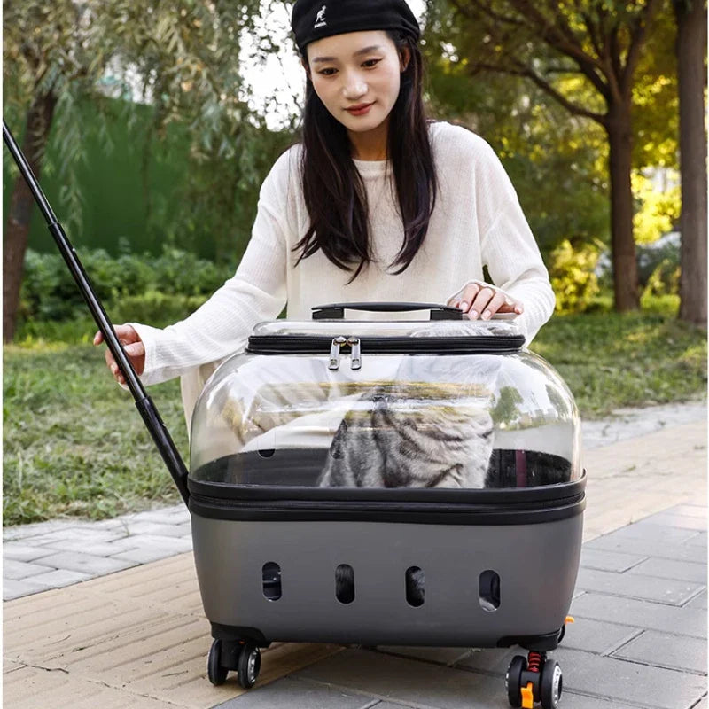 Transparent Pet Suitcase Large Capacity Cat Carry Portable Cat Stroller for Traveling Comfortable Breathable